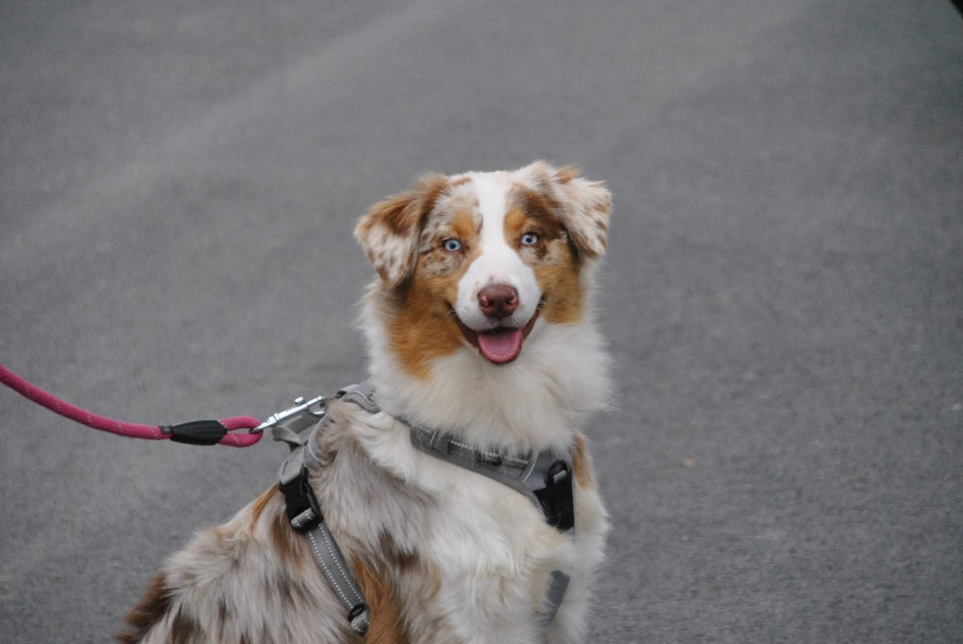 Vérone domaine du hameau du fayel
