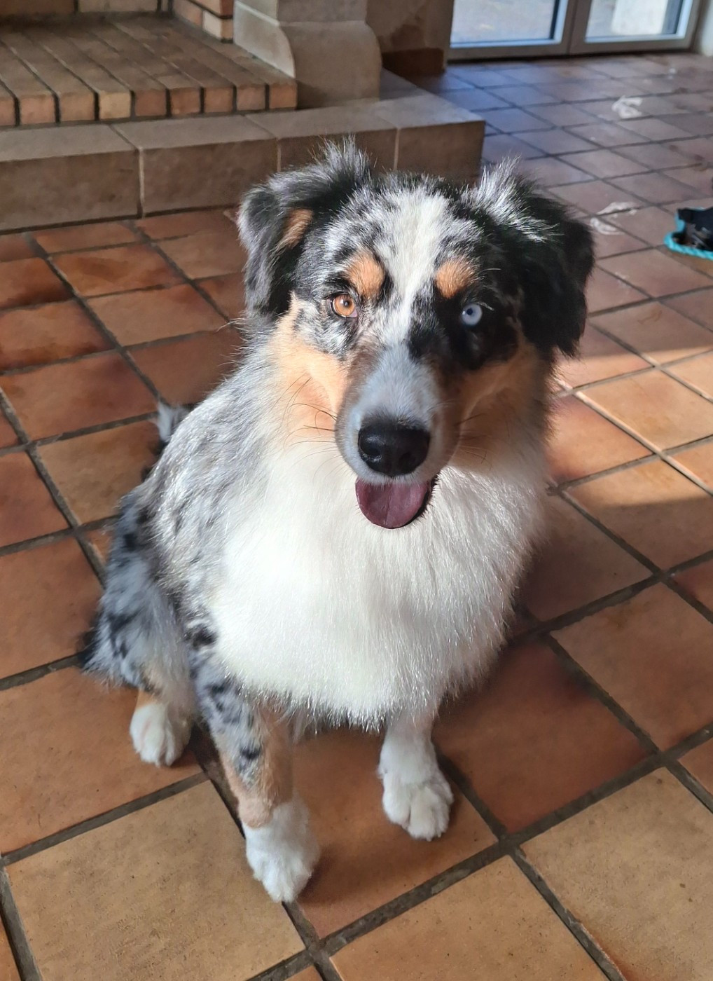 Viky (dit Athènes) des monts de la gaya scienza