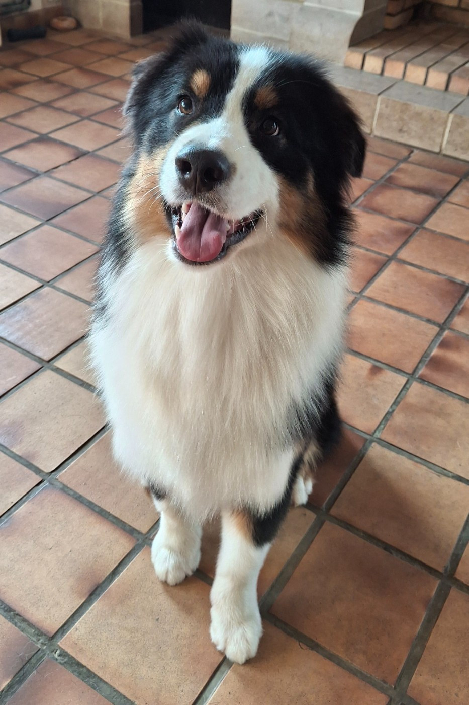 Very Oslo (dit Oslo) Du Clan De Mackenzie